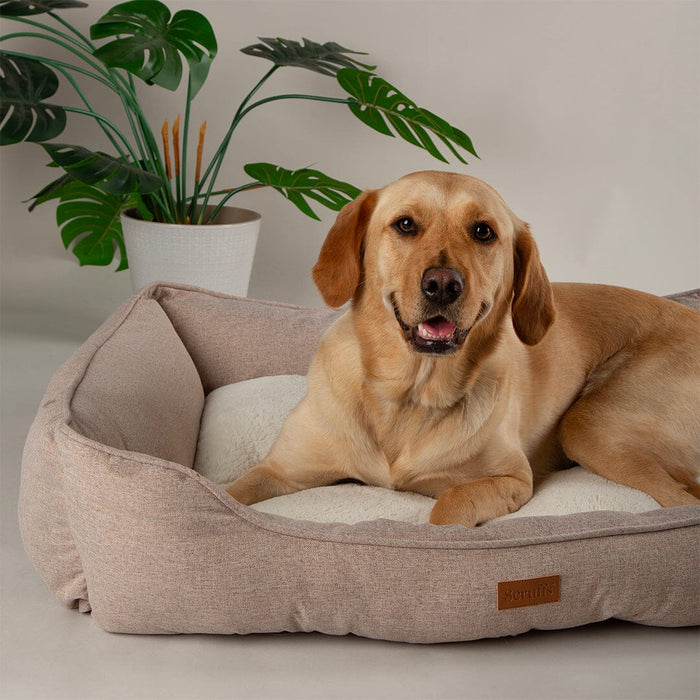 Scruffs Harmony Dog Bed - Dog Bed