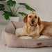 Scruffs Harmony Dog Bed - Dog Bed