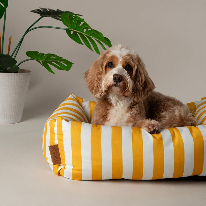 Scruffs® Amalfi Striped Box Bed - Yellow