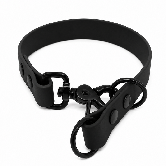 Black Waterproof Biothane Slip Dog Collar