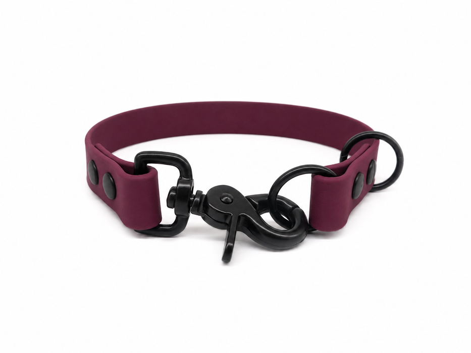 Wine Waterproof Biothane Slip Dog Collar