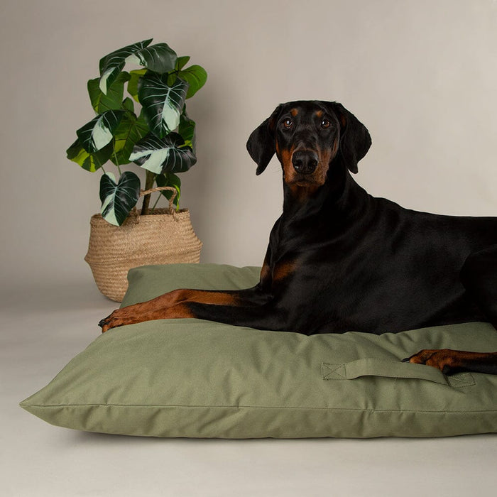 Scruffs® Expedition Memory Foam Orthopaedic Pillow Dog Bed - Pet Prestige UK