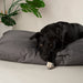 Scruffs® Expedition Memory Foam Orthopaedic Pillow Dog Bed - Pet Prestige UK