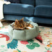 Scruffs Eden 100% Recycled Cat Bed-CAT BED
