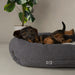 Scruffs Eden 100% Recycled Dog Bed - Dog Bed