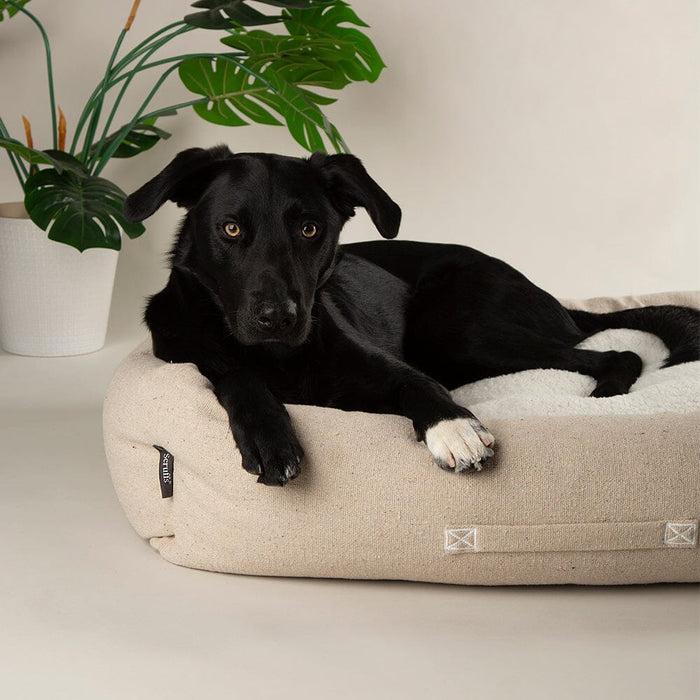 Scruffs Eden 100% Recycled Dog Bed - Dog Bed