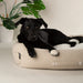 Scruffs Eden 100% Recycled Dog Bed - Dog Bed