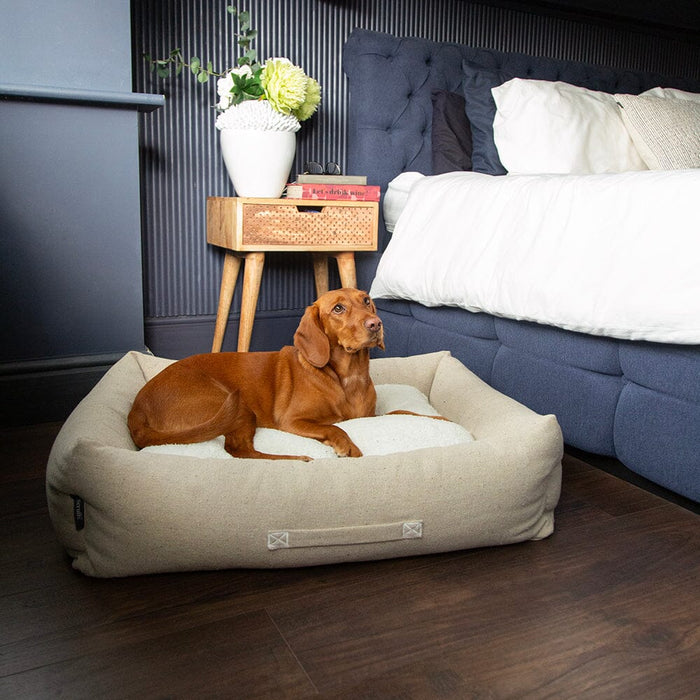 Scruffs Eden 100% Recycled Dog Bed - Dog Bed