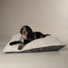 Scruffs Eden 100% Recycled Pillow Bed - Dog Bed