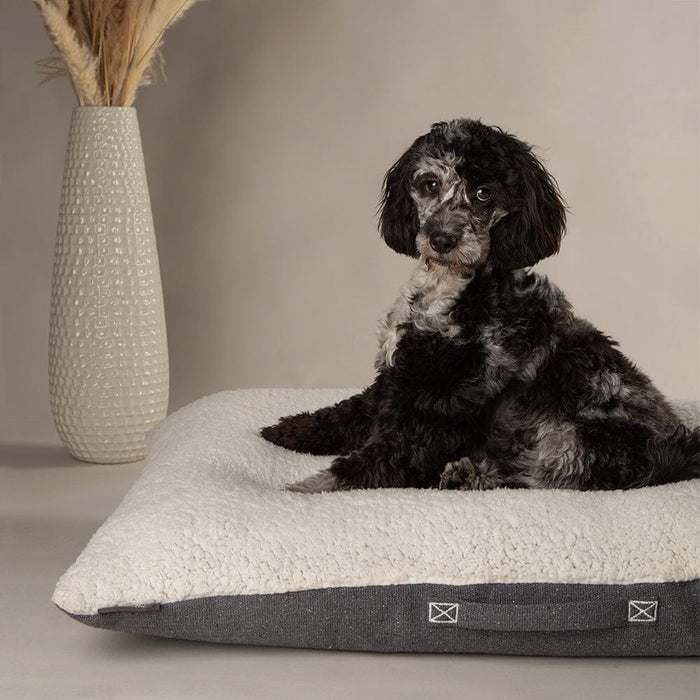 Scruffs Eden 100% Recycled Pillow Bed - Dog Bed