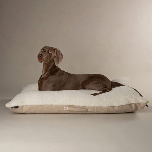 Scruffs Eden 100% Recycled Pillow Bed - Dog Bed