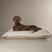 Scruffs Eden 100% Recycled Pillow Bed - Dog Bed