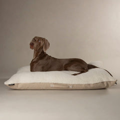 Scruffs Eden 100% Recycled Pillow Bed - Dog Bed