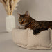 Scruffs Eden 100% Recycled Cat Bed-CAT BED