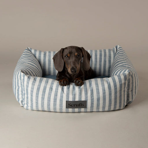 Scruffs Coastal Dog Bed
