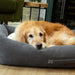 Scruffs Eden 100% Recycled Dog Bed - Dog Bed