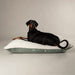 Scruffs Eden 100% Recycled Pillow Bed - Dog Bed