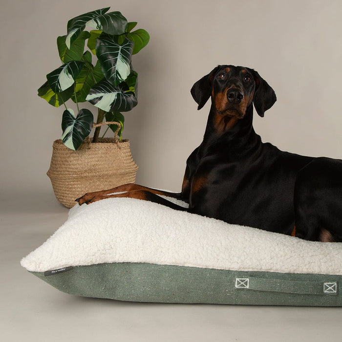 Scruffs Eden 100% Recycled Pillow Bed - Dog Bed