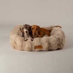 Scruffs Alpine Box Bed-Dog Bed