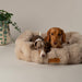 Scruffs Alpine Box Bed-Dog Bed
