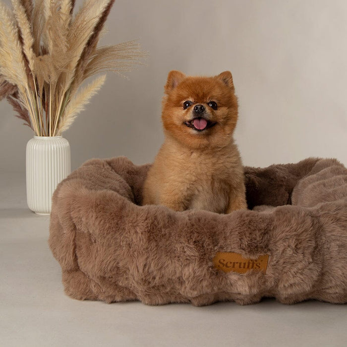 Scruffs Alpine Box Bed-Dog Bed
