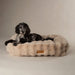 Scruffs Alpine Box Bed-Dog Bed