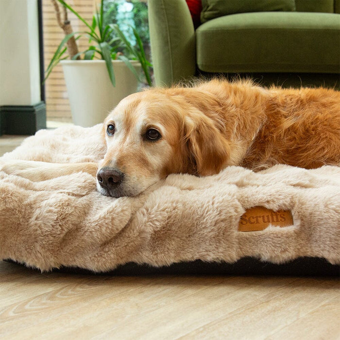 Scruffs Alpine Dog Mattress