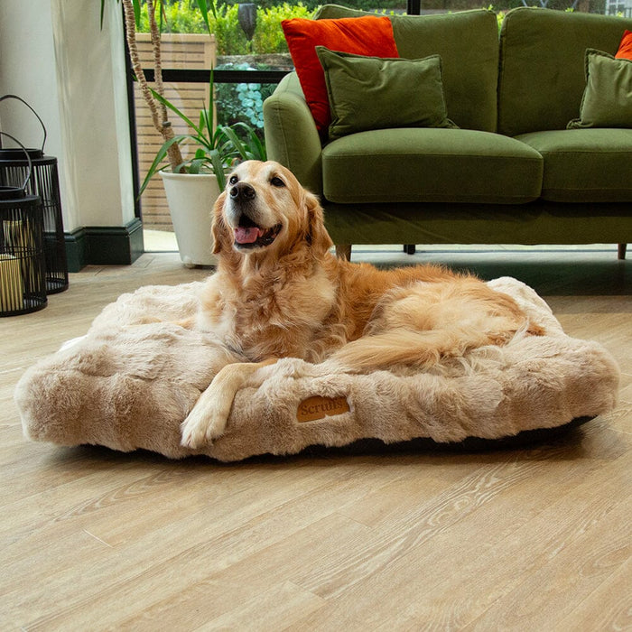 Scruffs Alpine Dog Mattress