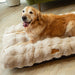 Scruffs Alpine Dog Mattress