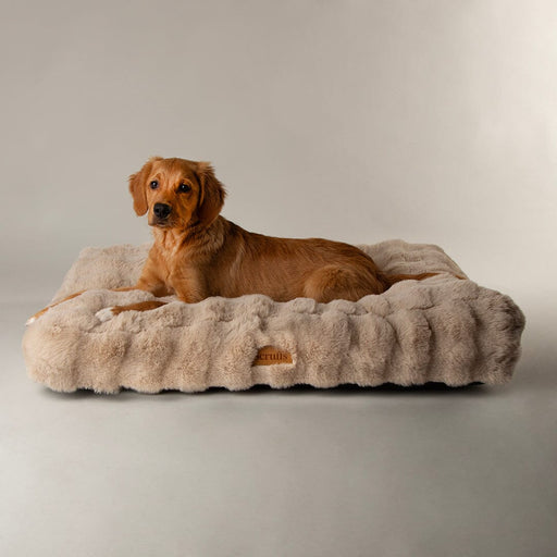 Scruffs Alpine Dog Mattress