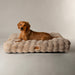 Scruffs Alpine Dog Mattress