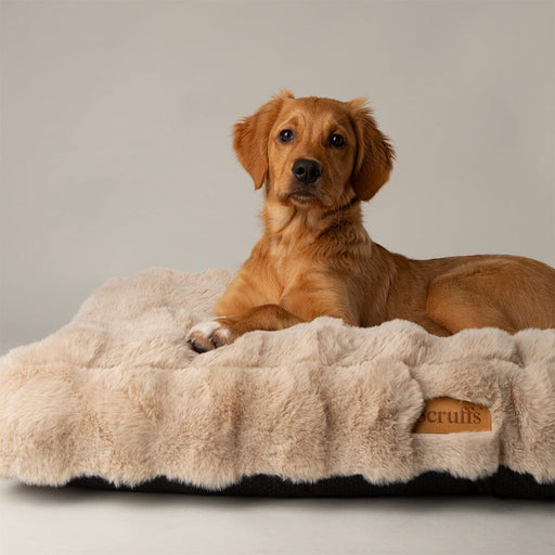 Scruffs Alpine Dog Mattress