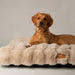 Scruffs Alpine Dog Mattress