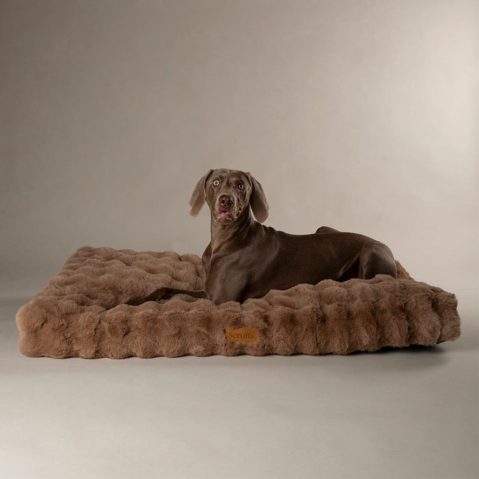 Scruffs Alpine Dog Mattress