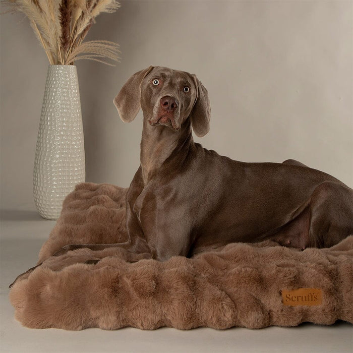 Scruffs Alpine Dog Mattress