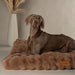 Scruffs Alpine Dog Mattress