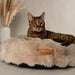 Scruffs Alpine Cat Bed
