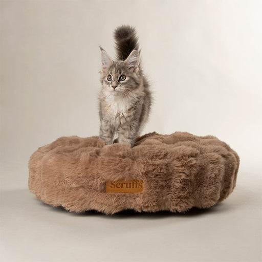 Scruffs Alpine Cat Bed