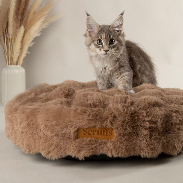 Scruffs Alpine Cat Bed
