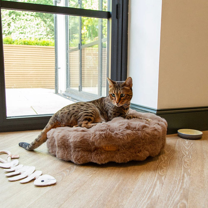 Scruffs Alpine Cat Bed