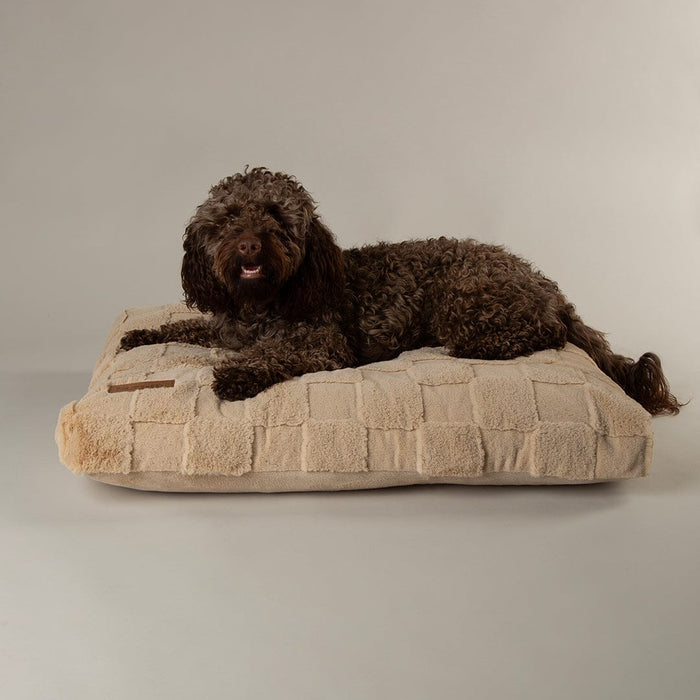 Scruffs Oxford Orthopaedic Mattress-Dog BED