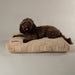 Scruffs Oxford Orthopaedic Mattress-Dog BED