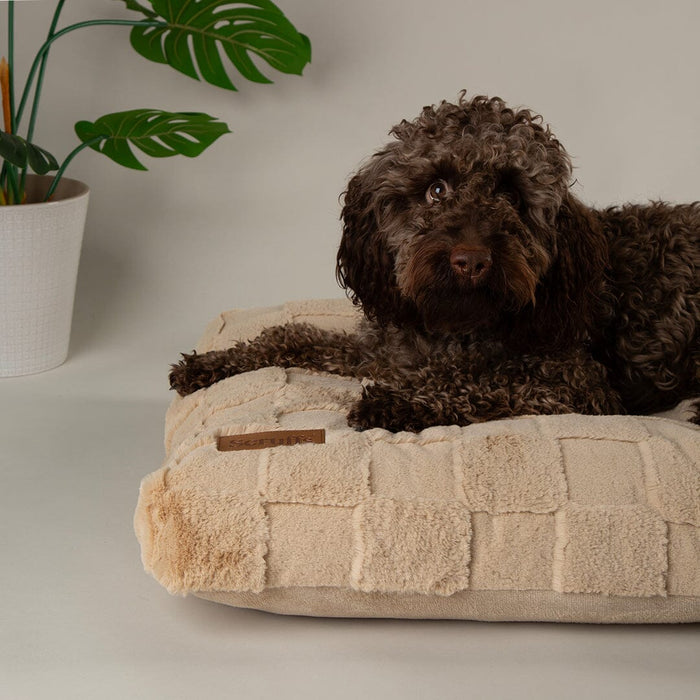Scruffs Oxford Orthopaedic Mattress-Dog BED