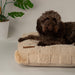 Scruffs Oxford Orthopaedic Mattress-Dog BED