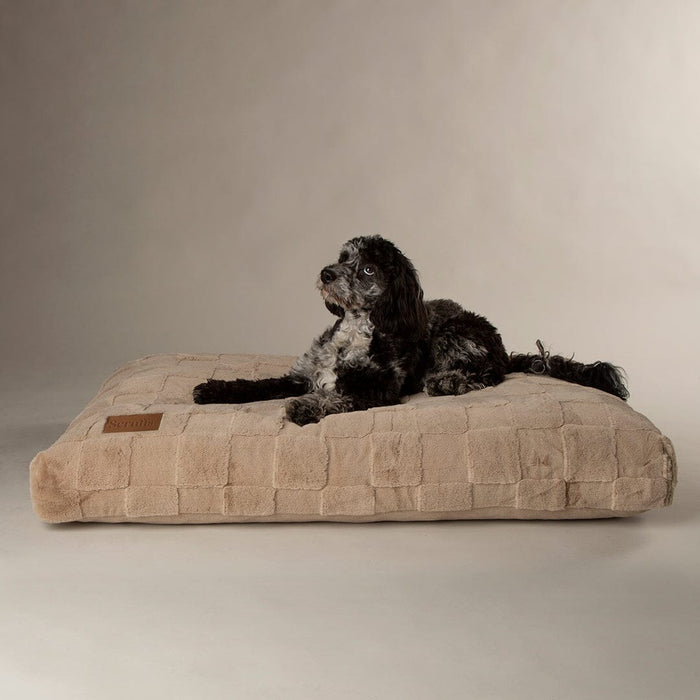 Scruffs Oxford Orthopaedic Mattress-Dog BED
