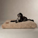 Scruffs Oxford Orthopaedic Mattress-Dog BED