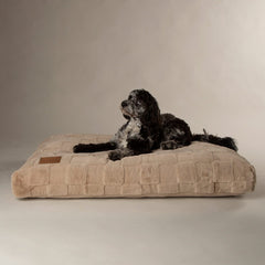 Scruffs Oxford Orthopaedic Mattress-Dog BED