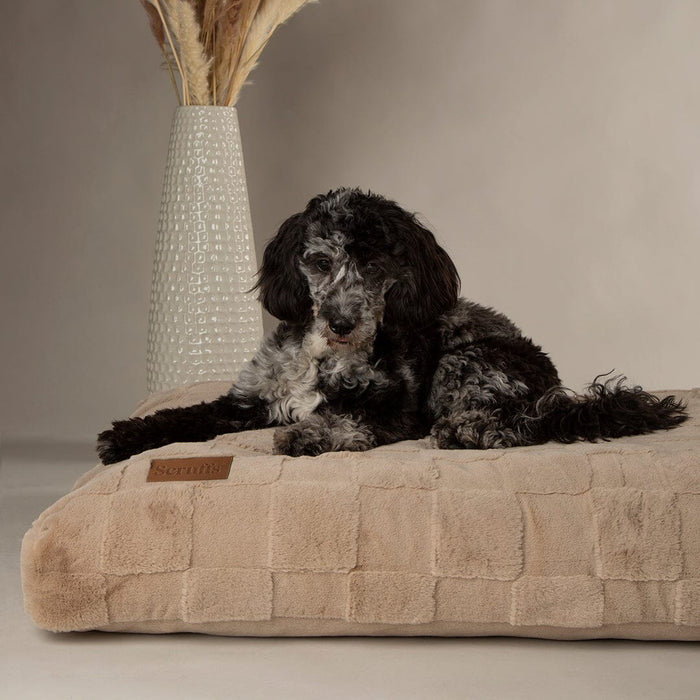 Scruffs Oxford Orthopaedic Mattress-Dog BED