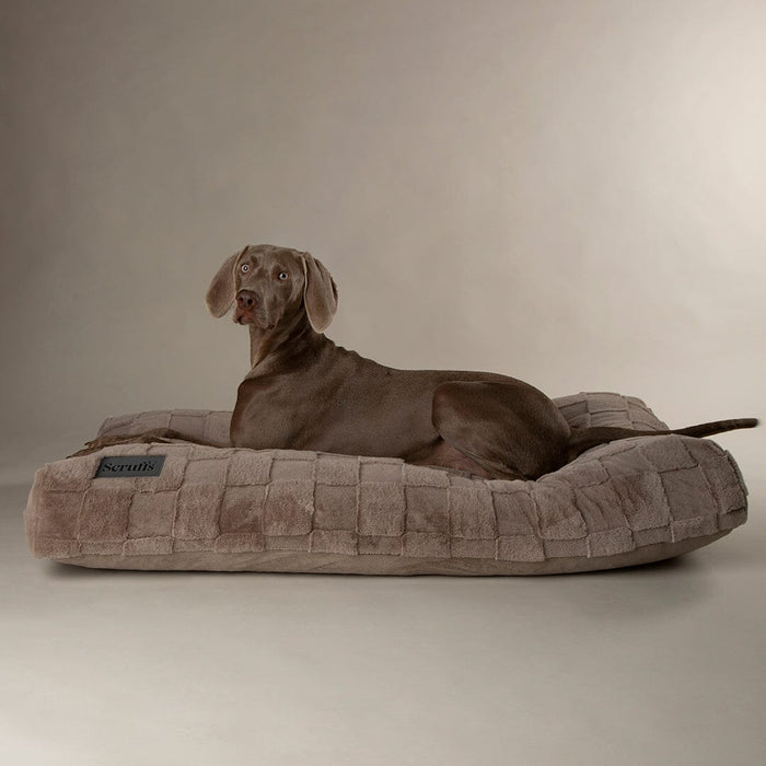 Scruffs Oxford Orthopaedic Mattress-Dog BED