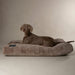 Scruffs Oxford Orthopaedic Mattress-Dog BED